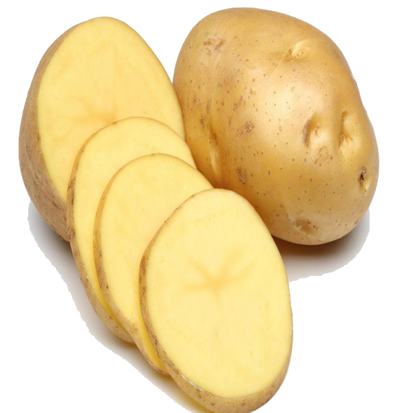 Potato Png Pic - Potato, Transparent background PNG HD thumbnail