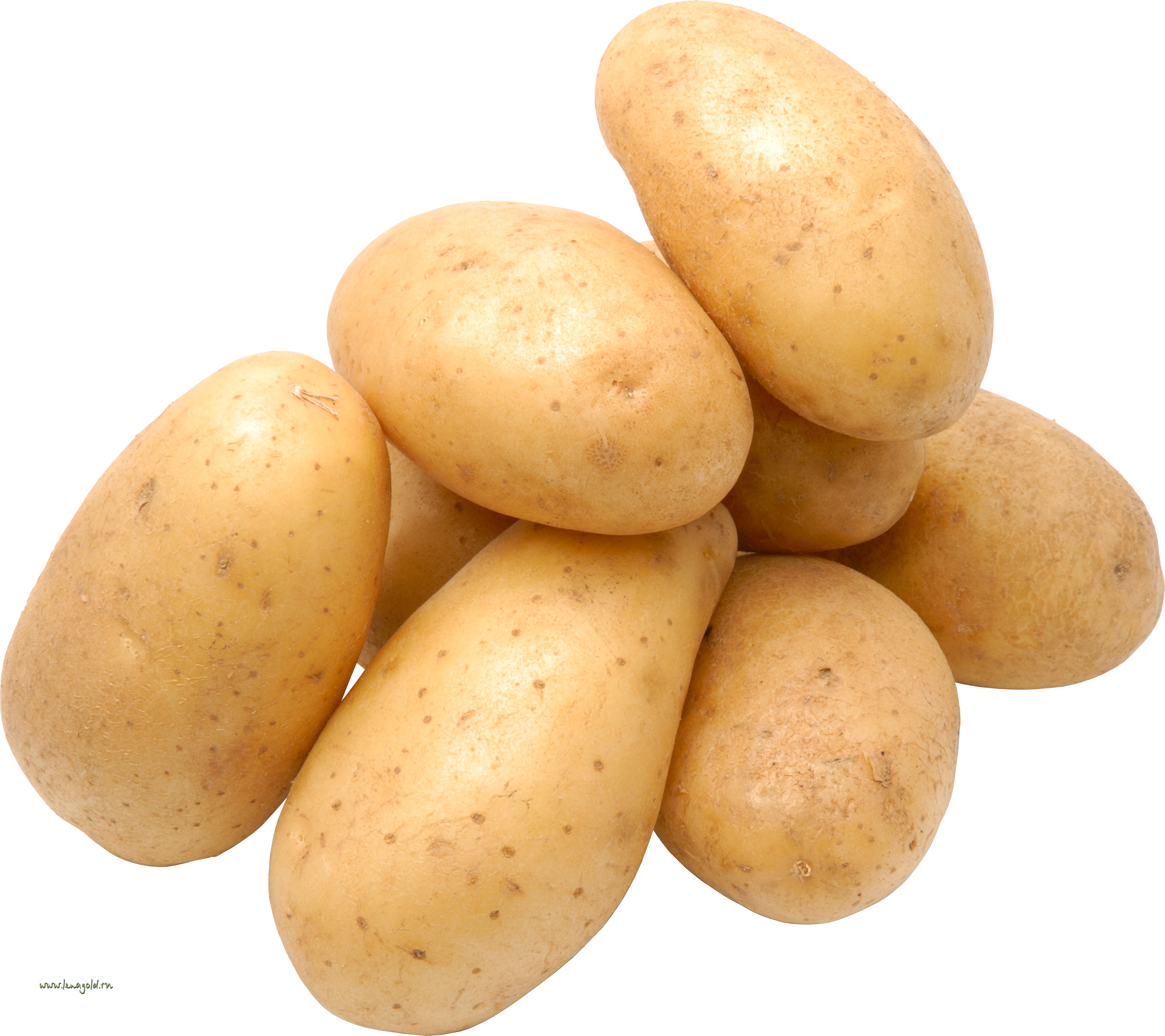 Potato PNG Clipart