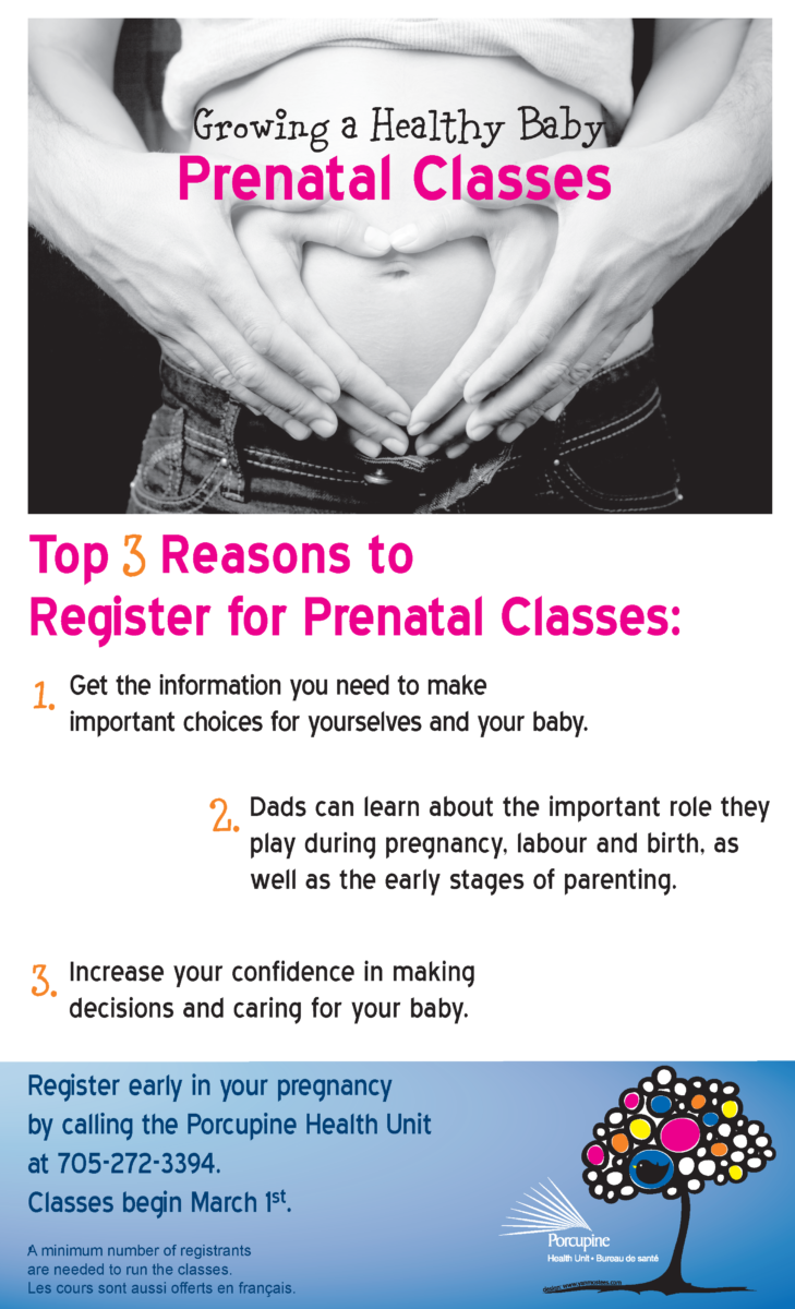 Organizer - Prenatal Class, Transparent background PNG HD thumbnail