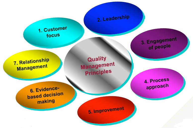 1 U2013 Customer Focus - Principle Of Initiative In Management, Transparent background PNG HD thumbnail