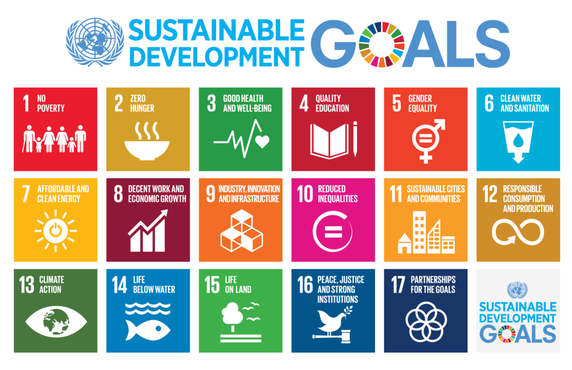 Future, All Activities Of The Prme Initiative To Support The Sdgs Will Contribute To This. - Principle Of Initiative In Management, Transparent background PNG HD thumbnail