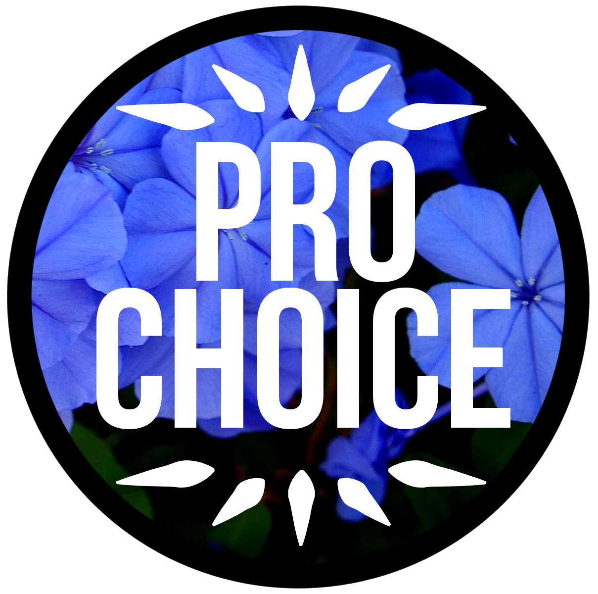 Pro Choice Or No Voice Submit Your Abortion - Pro Choice, Transparent background PNG HD thumbnail