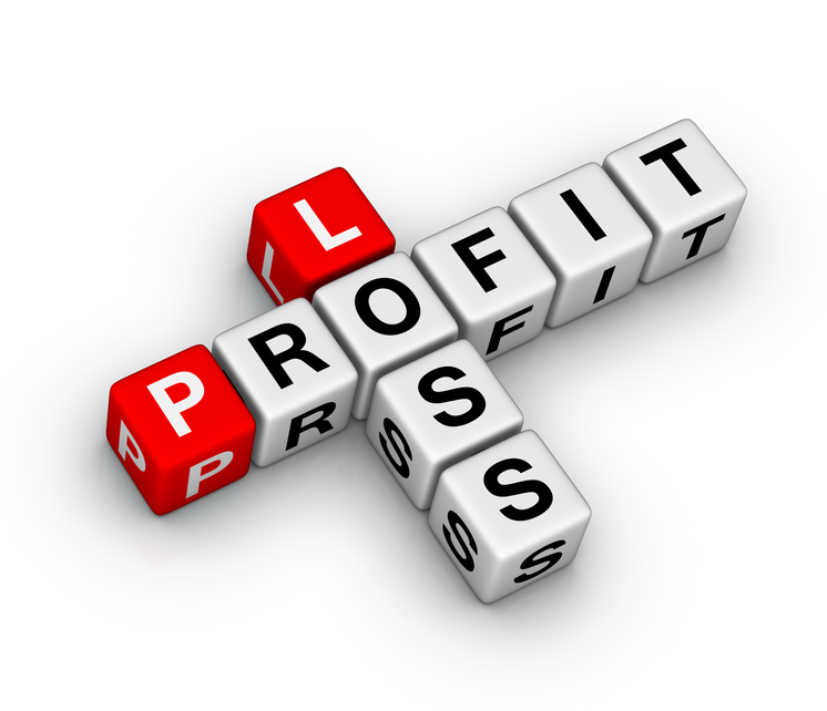 12 Month Profit And Loss Projection - Profit And Loss, Transparent background PNG HD thumbnail