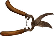Pruning Shears Png - Pruning Shears Lrg.png, Transparent background PNG HD thumbnail