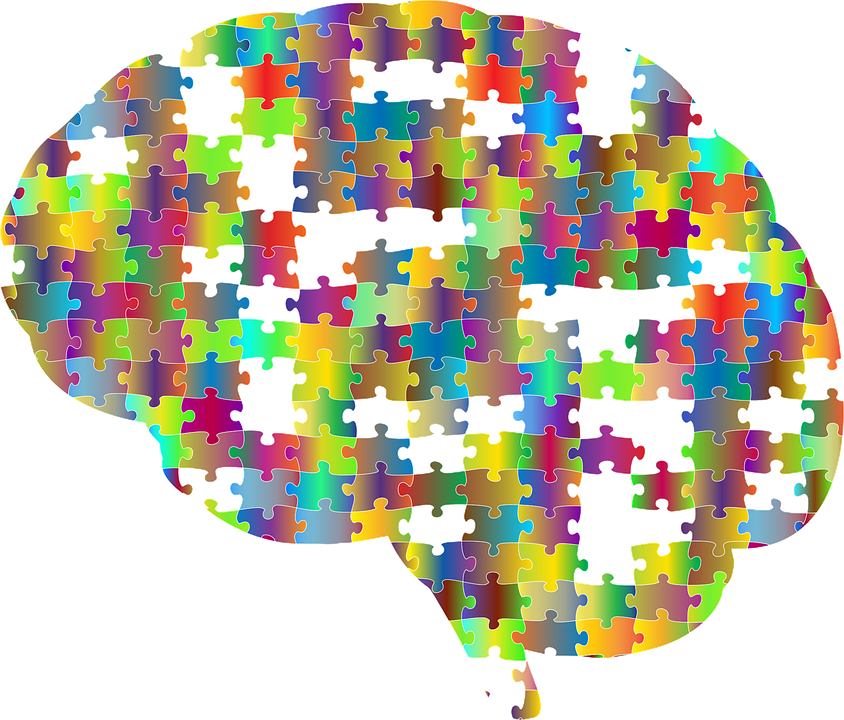 Psychology Brain Png - Brain, Cranium, Head, Psychology, Skull, Think, Thought, Transparent background PNG HD thumbnail