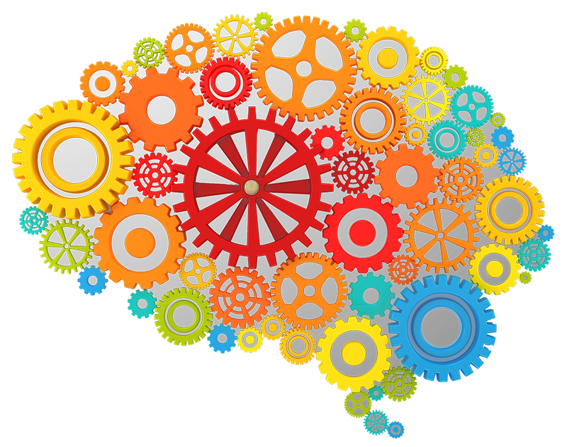 Brain Gears Icon Png - Psychology Brain, Transparent background PNG HD thumbnail