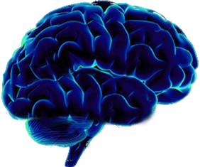 Brain Png ? - Psychology Brain, Transparent background PNG HD thumbnail