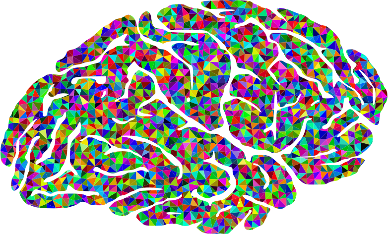 Pin Colors Clipart Brain #6 - Psychology Brain, Transparent background PNG HD thumbnail