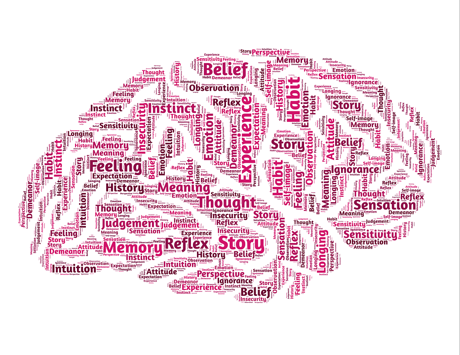 Psychology, Brain, Mind, Mindset, Reality, Perception - Psychology Brain, Transparent background PNG HD thumbnail