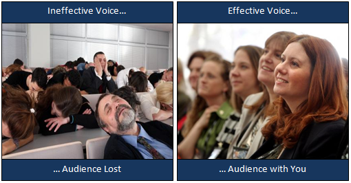 How Your Voice Engages Or Loses Your Audience Consistently Effective Public Speakers Hdpng.com  - Public Speaking Audience, Transparent background PNG HD thumbnail