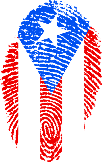 Free Illustration: Puerto Rico, Flag, Fingerprint   Free Image On Pixabay   654978 - Puerto Rico, Transparent background PNG HD thumbnail
