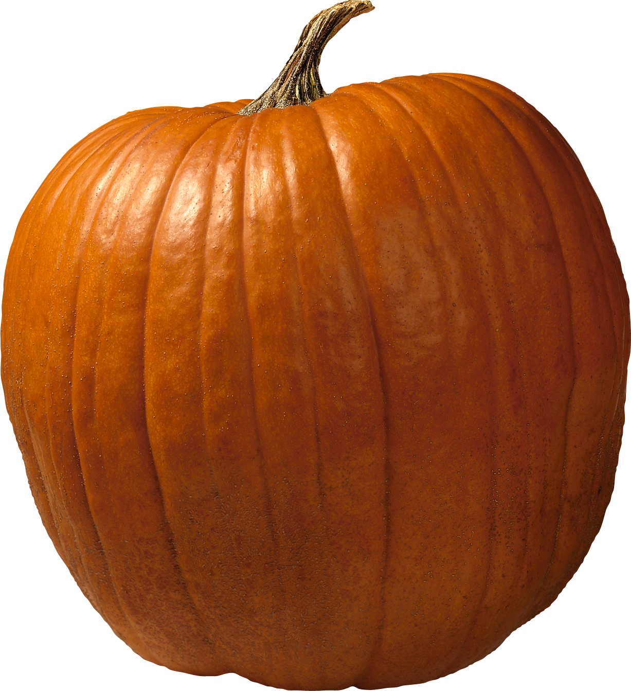 Halloween Pumpkin PNG Clip Ar