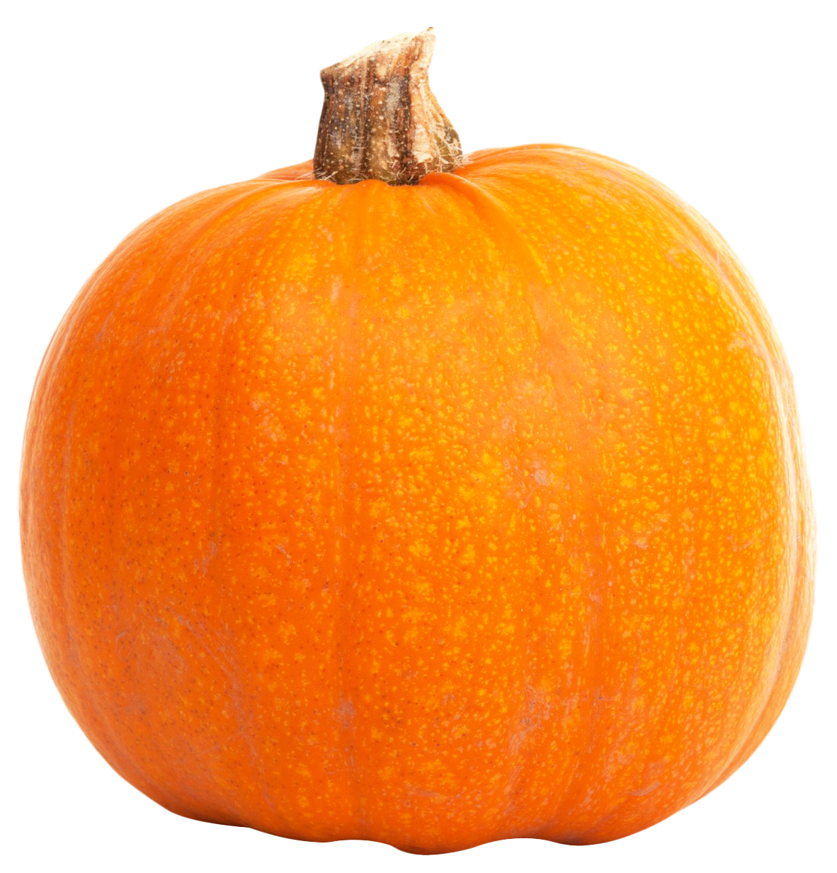Pumpkin PNG Transparent image