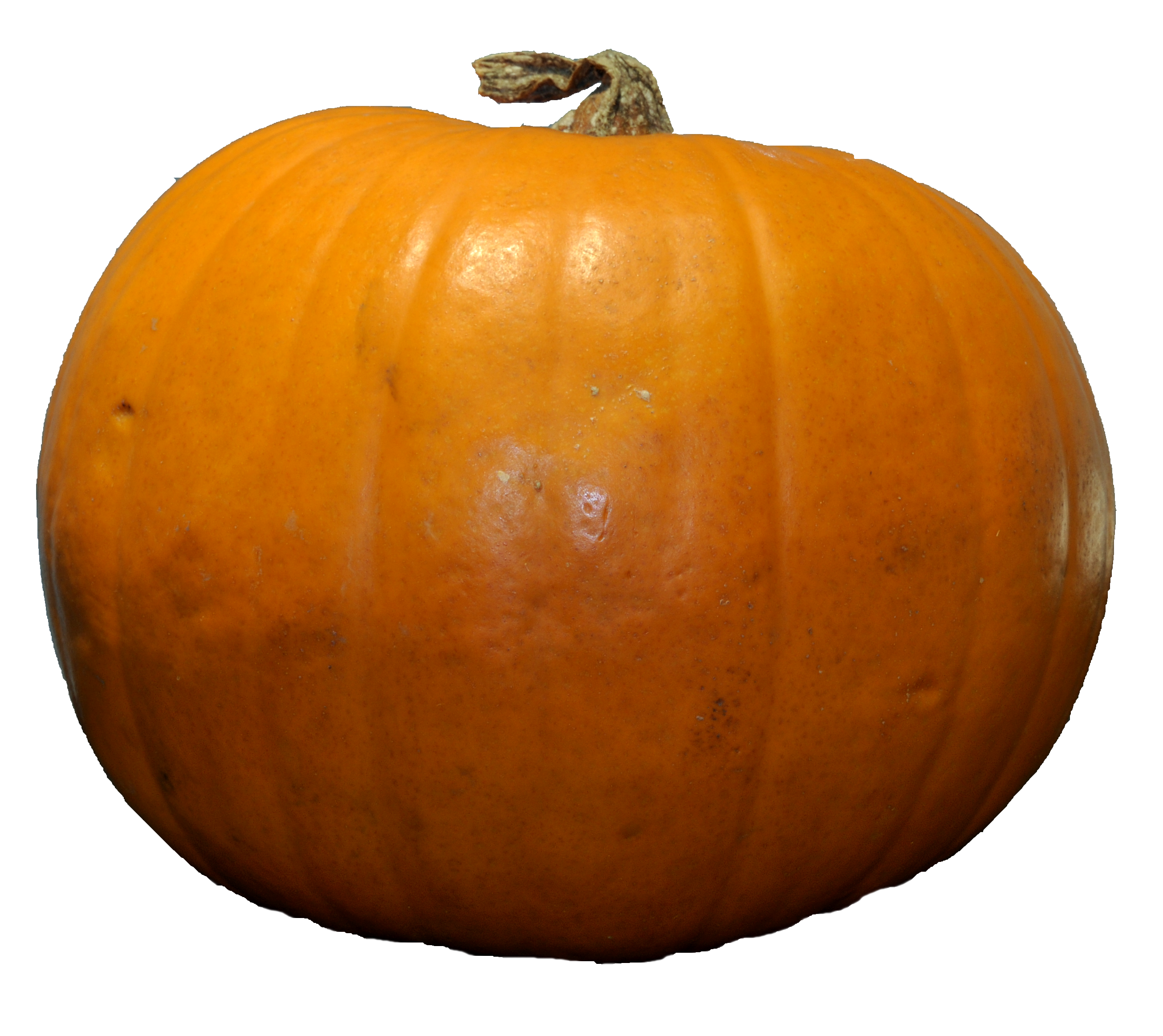 Pumpkin Png Image - Pumpkin, Transparent background PNG HD thumbnail
