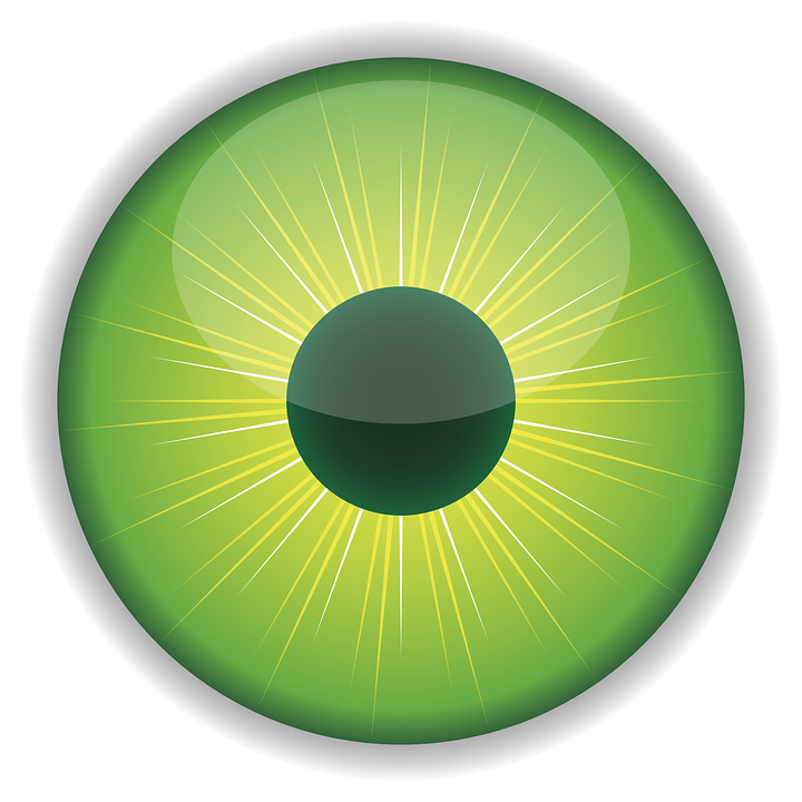 Eye, Green, Iris, Pupil - Pupil, Transparent background PNG HD thumbnail