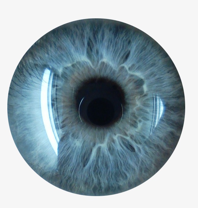 Eyeball, Eye Pupil, Eye Free Png Image - Pupil, Transparent background PNG HD thumbnail