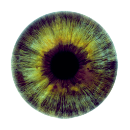 Iris 32 By Wampirus - Pupil, Transparent background PNG HD thumbnail