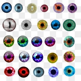 Pupil, Pupil, Color, Psd Png And Psd - Pupil, Transparent background PNG HD thumbnail