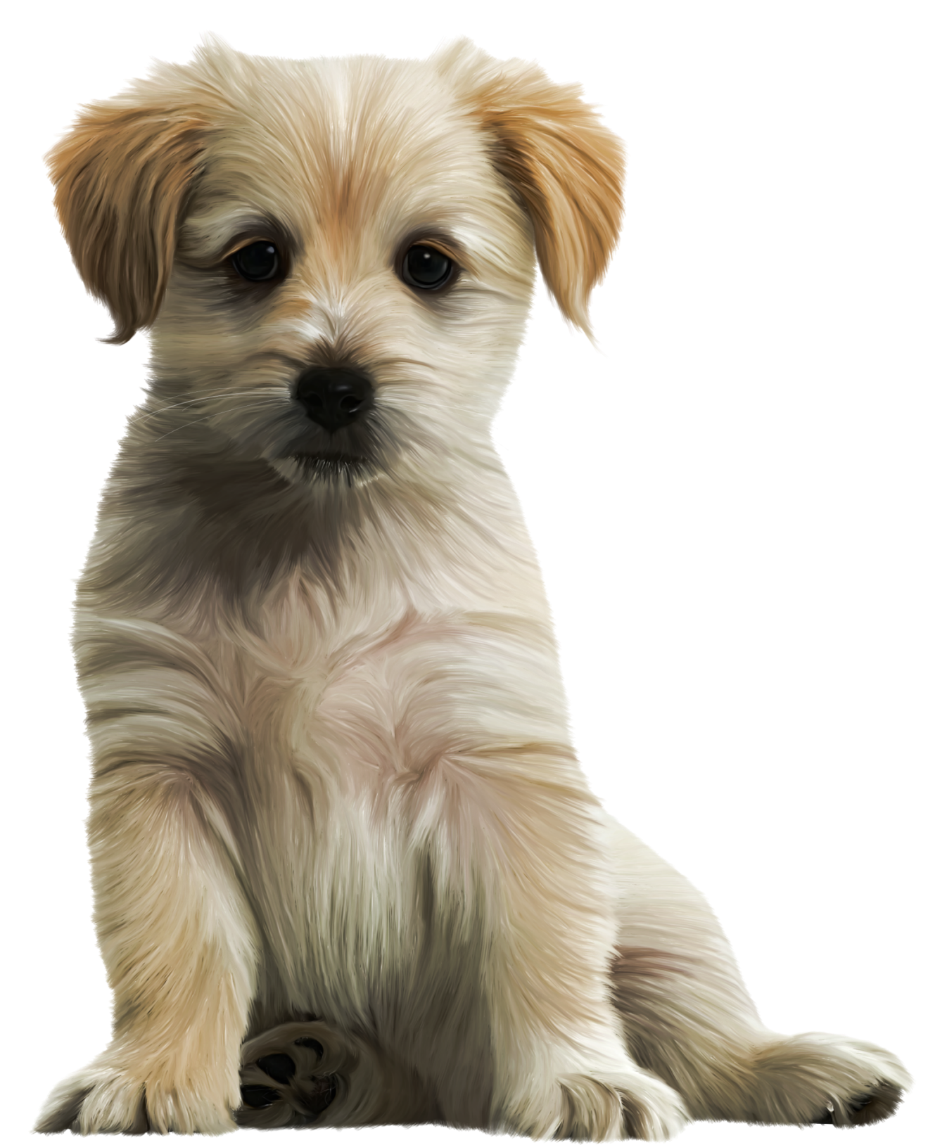 Cute Puppy Png Clipart Image Transparent Free Download - Puppy, Transparent background PNG HD thumbnail