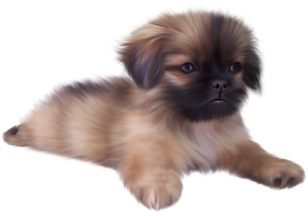 Puppy Png File - Puppy, Transparent background PNG HD thumbnail