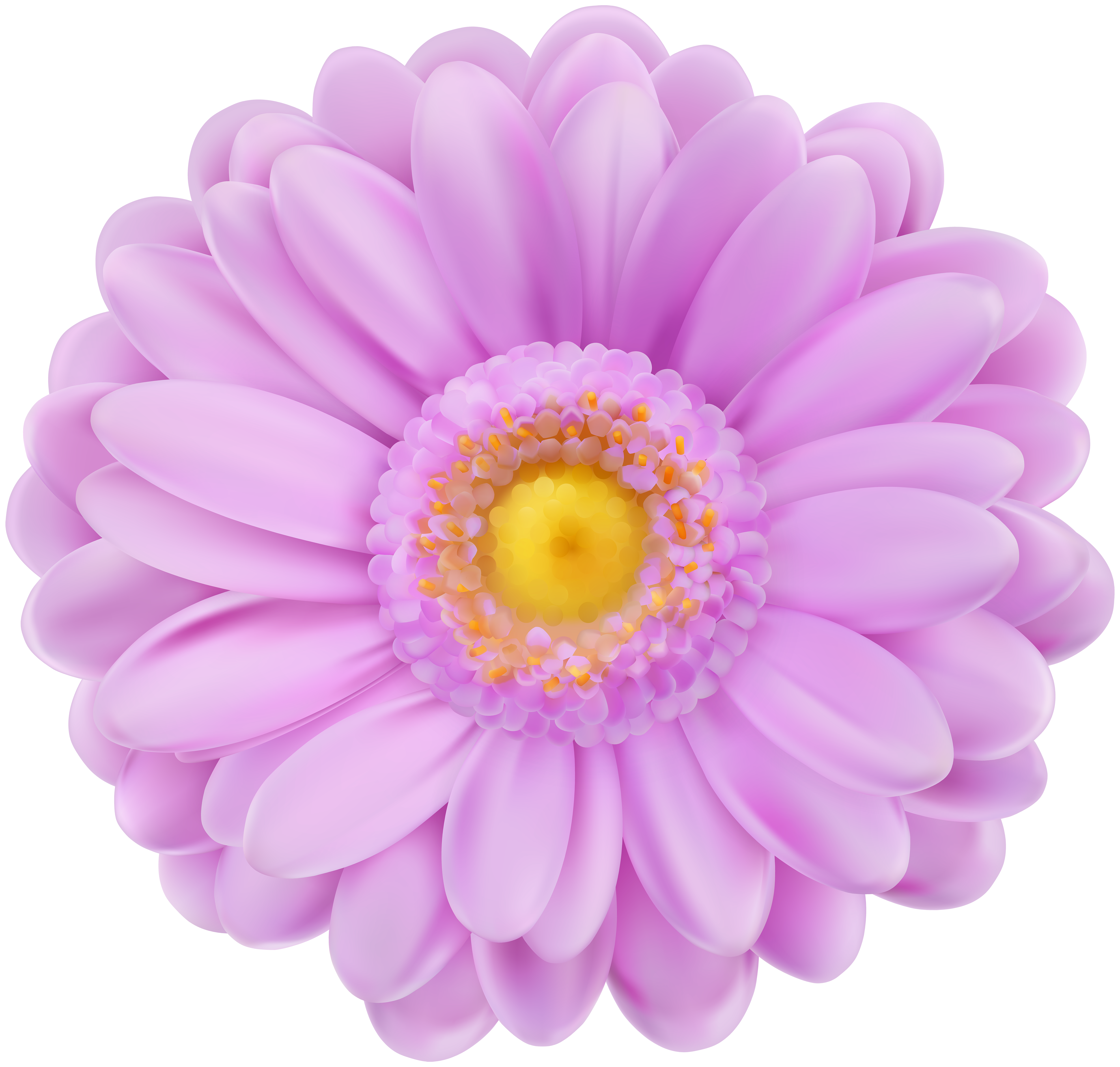 Purple And Pink Flowers Png Hdpng.com 5000 - Purple And Pink Flowers, Transparent background PNG HD thumbnail