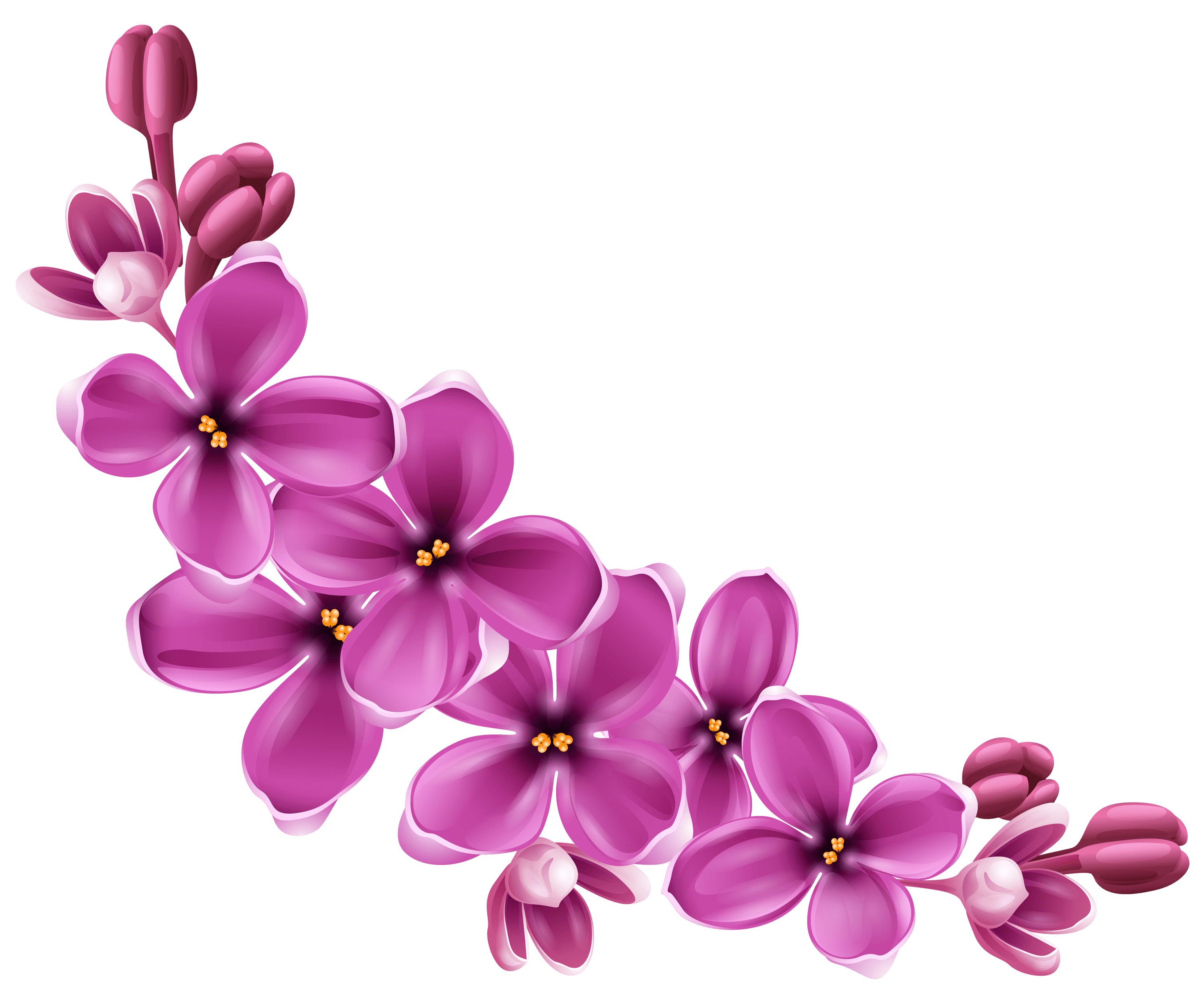 Flowers Purple Curve Png - Purple And Pink Flowers, Transparent background PNG HD thumbnail