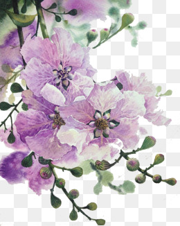 Purple Flowers - Purple And Pink Flowers, Transparent background PNG HD thumbnail