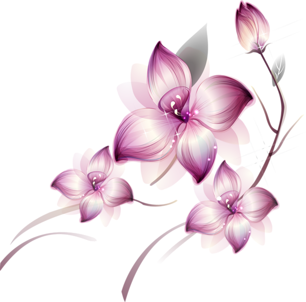 [Res] Purple Flowers Png - Purple And Pink Flowers, Transparent background PNG HD thumbnail