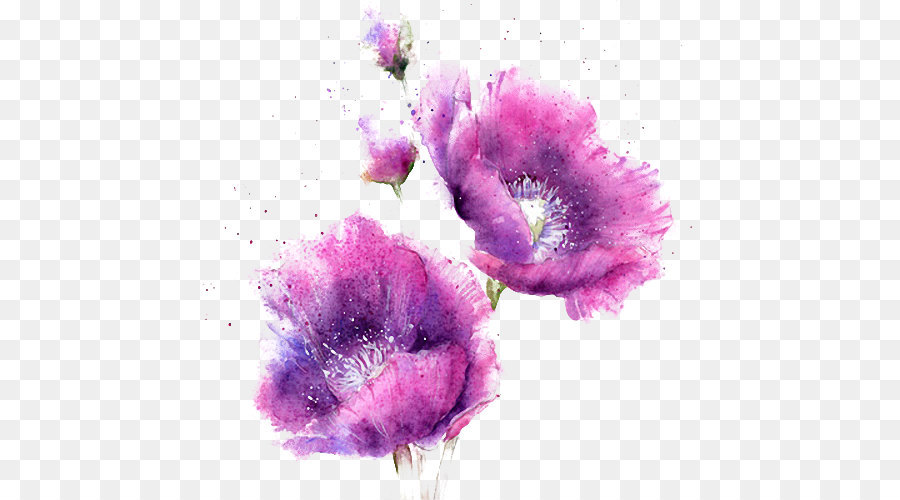 Watercolor Painting   Watercolor Purple Flowers - Purple And Pink Flowers, Transparent background PNG HD thumbnail