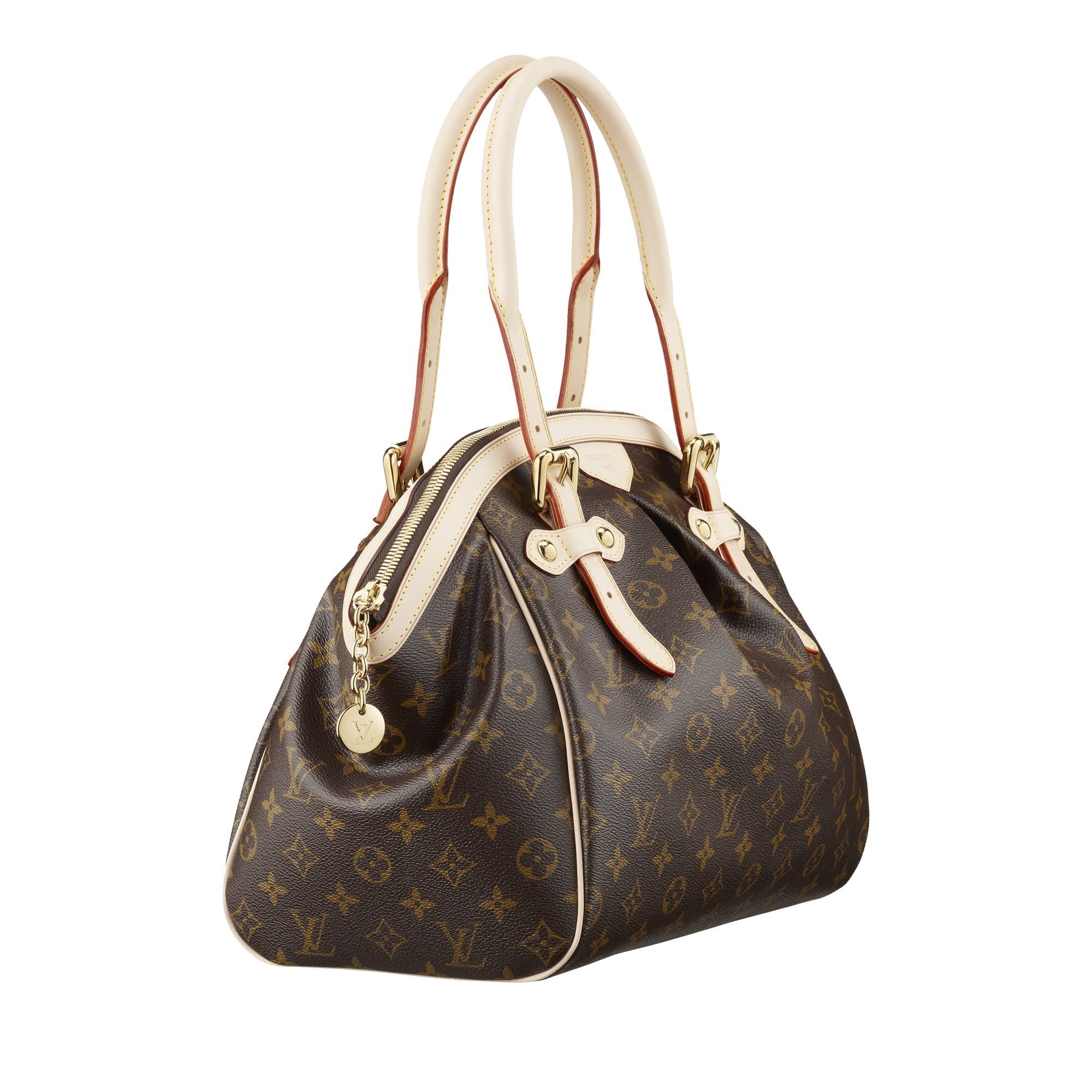 Louis Vuitton Women bag PNG image, Purse PNG - Free PNG
