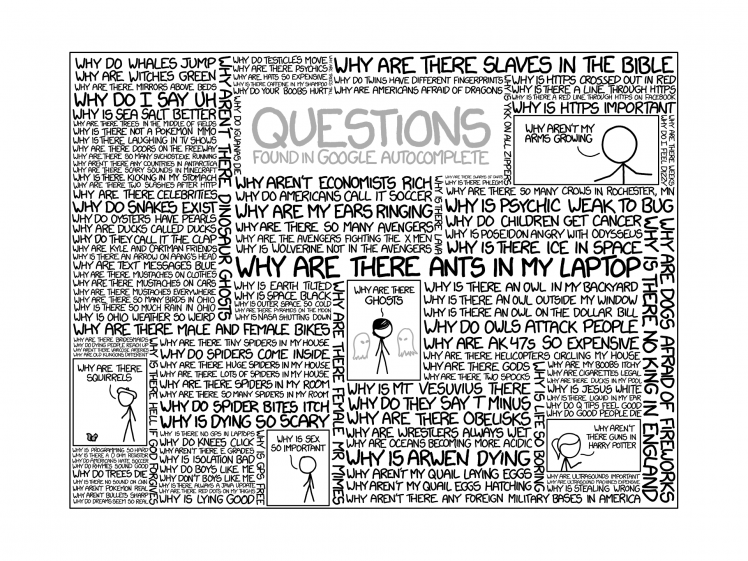 Xkcd, Comics, Questions, Google, Internet, Humor Hd Wallpaper Desktop Background - Questions, Transparent background PNG HD thumbnail