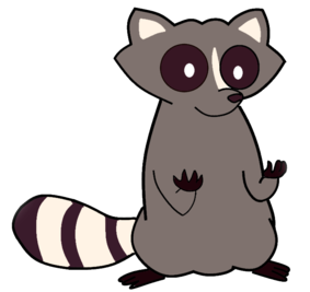 Raccoon.png - Raccoon, Transparent background PNG HD thumbnail