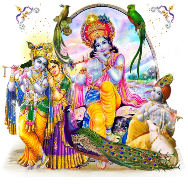 Lord Krishna And Peacock - Radah Krishna, Transparent background PNG HD thumbnail