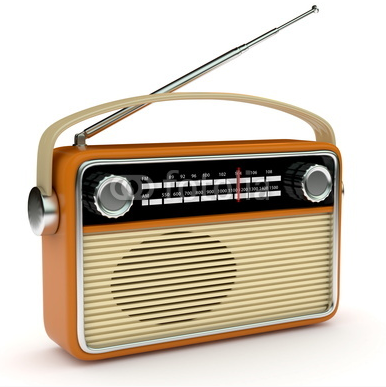 Sparc AM/FM Portable Radio