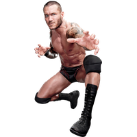 Randy Orton Png Png Image - Randy Orton, Transparent background PNG HD thumbnail