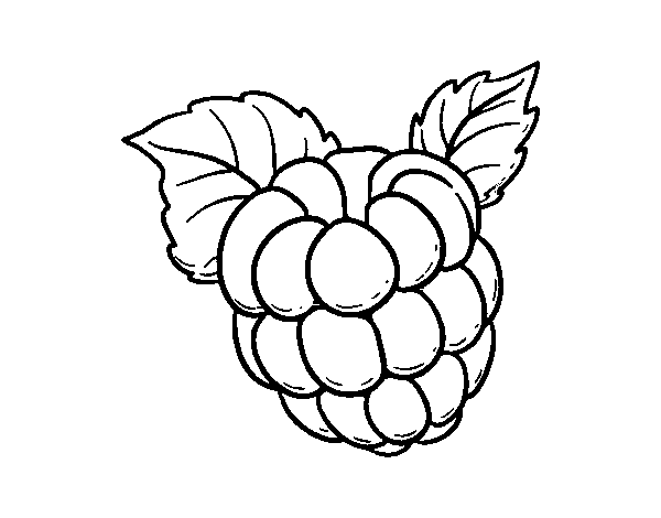 Raspberry Outline Clip Art