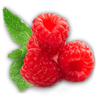 Rraspberry Png Image Png Image - Raspberry, Transparent background PNG HD thumbnail