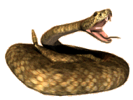 Photo Rattlesnake Clipart Png Rattlesnake Png - Rattlesnake, Transparent background PNG HD thumbnail