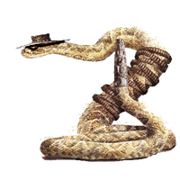 Similar Rattlesnake Png Image - Rattlesnake, Transparent background PNG HD thumbnail
