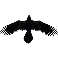 Raven Format: Png Resolution: 1024X523. Size: 331.3Kb Downloads: 106 - Raven, Transparent background PNG HD thumbnail