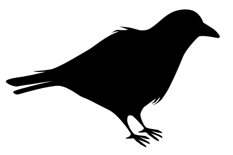 Similar Raven PNG Image
