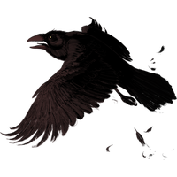 Raven PNG-PlusPNG.com-477