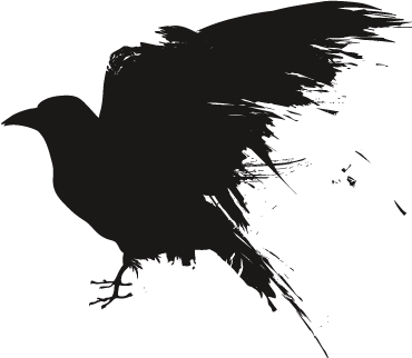 Raven Flying Transparent PNG
