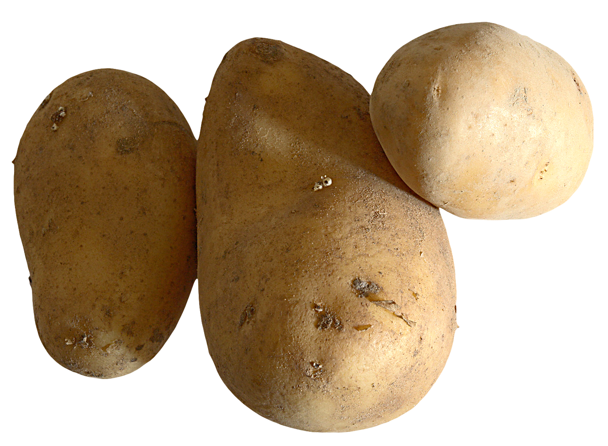 Raw Potato Png Image - Potato, Transparent background PNG HD thumbnail