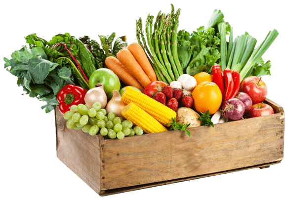 Fruit u0026 Vegetables | News