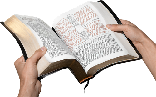 How To Read Through The Bible In A Year Without Losing Heart - Reading Bible, Transparent background PNG HD thumbnail