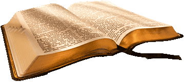 Rb500Th: Read The Bible Through In Connection With The 500Th Anniversary Of The Reformation Monday Night Study At 6 Pm. Send In Your Questions To Pastor Hdpng.com  - Reading Bible, Transparent background PNG HD thumbnail