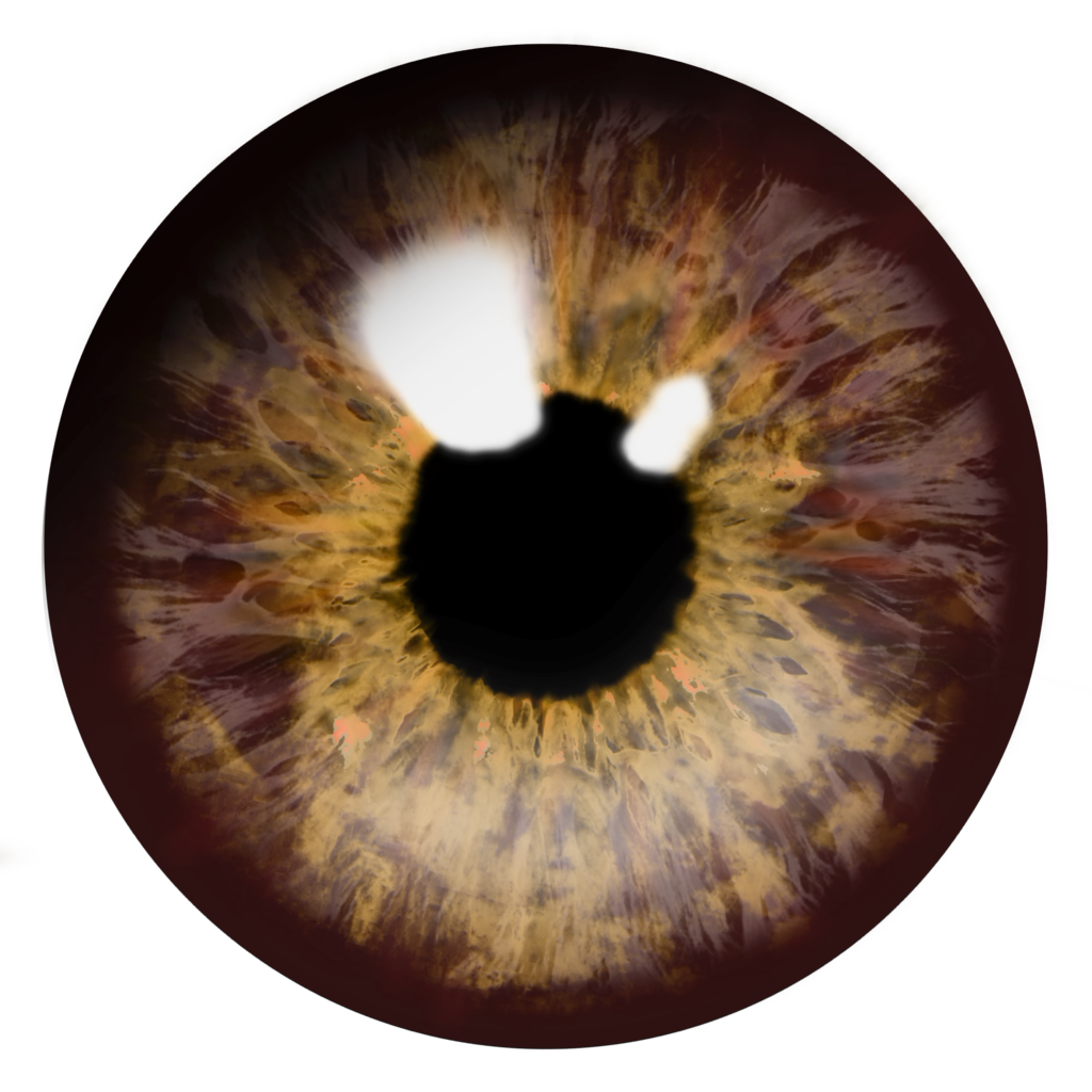Real Brown Eye Png Image #42308 - Eye, Transparent background PNG HD thumbnail