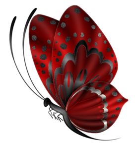 Butterfly - Red And Black Butterfly, Transparent background PNG HD thumbnail