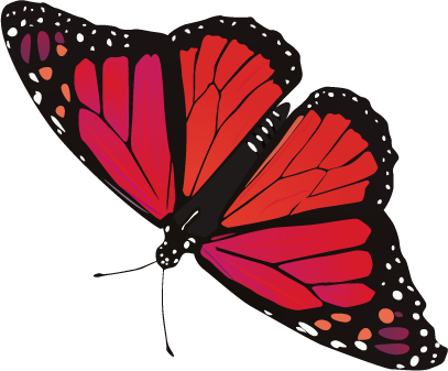 Butterfly Png | Butterfly.png - Red And Black Butterfly, Transparent background PNG HD thumbnail